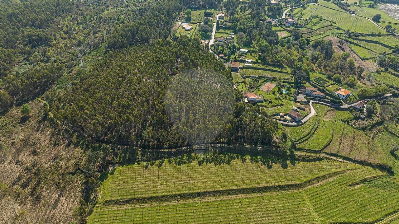 Terreno para Venda em Águas Santas e Moure Foto 5