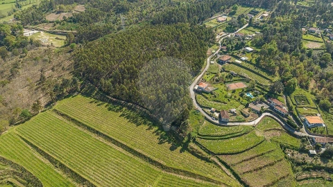 Terreno para Venda em Águas Santas e Moure