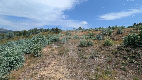 Terreno para Venda em Águas Santas e Moure