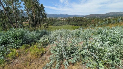 Terreno para Venda em Águas Santas e Moure