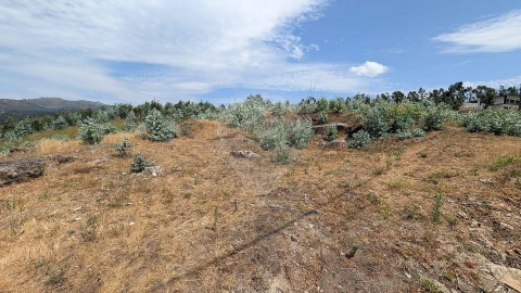 Terreno para Venda em Águas Santas e Moure