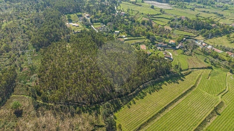 Terreno para Venda em Águas Santas e Moure