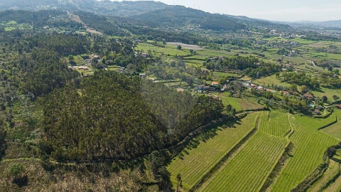 Terreno para Venda em Águas Santas e Moure