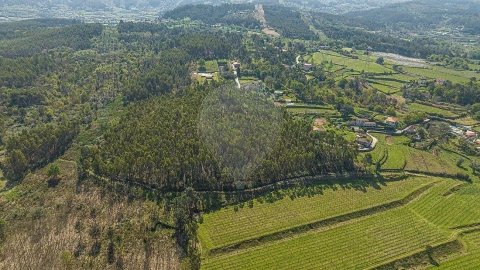 Terreno para Venda em Águas Santas e Moure