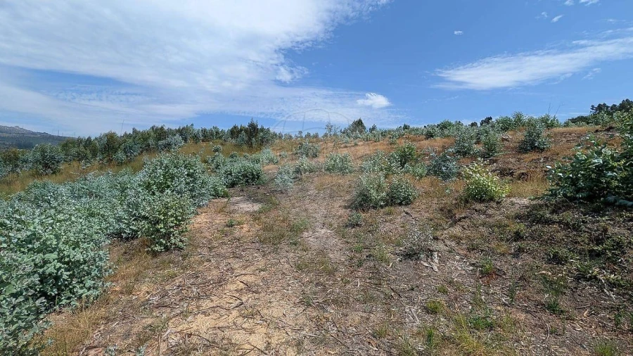 Terreno para Venda em Águas Santas e Moure Foto 20