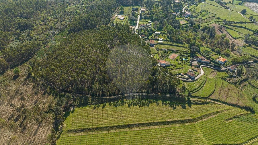 Terreno para Venda em Águas Santas e Moure Foto 5