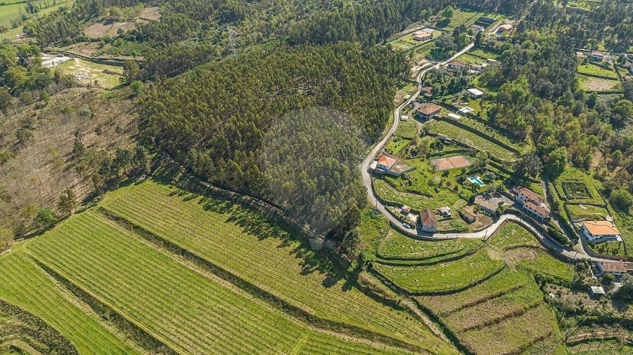 Terreno para Venda em Águas Santas e Moure