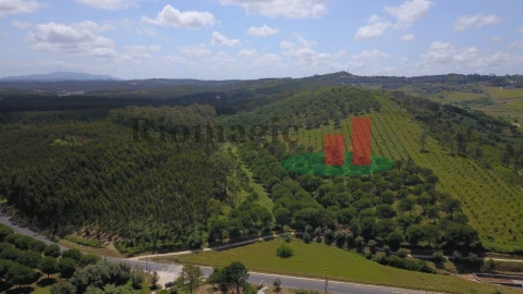 Terreno para Venda em Rio Maior