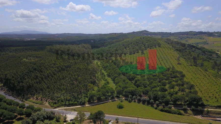 Terreno para Venda em Rio Maior Foto 14