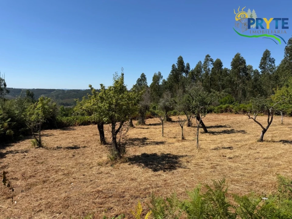 Quinta T3 para Venda em Vila Facaia Foto 59