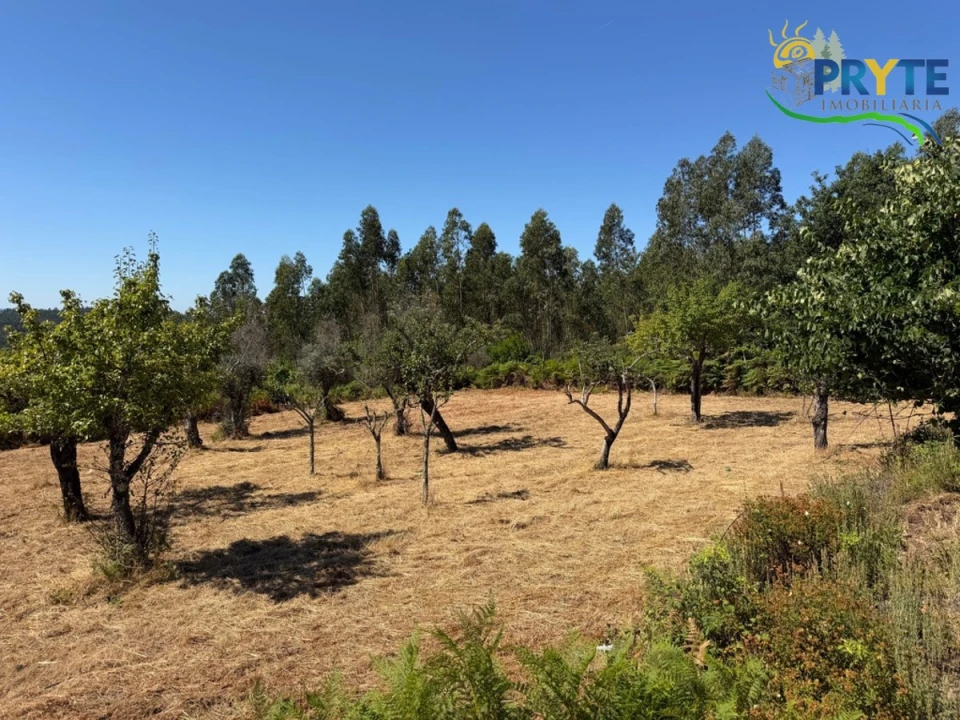 Quinta T3 para Venda em Vila Facaia Foto 60