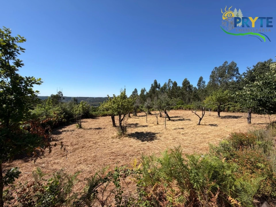 Quinta T3 para Venda em Vila Facaia Foto 61