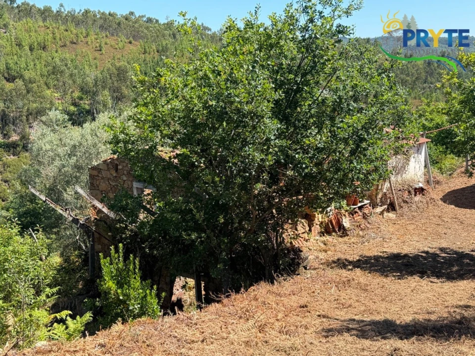 Quinta T3 para Venda em Vila Facaia Foto 62