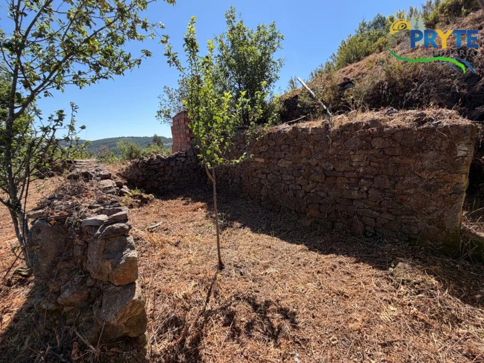 Quinta T3 para Venda em Vila Facaia Foto 66