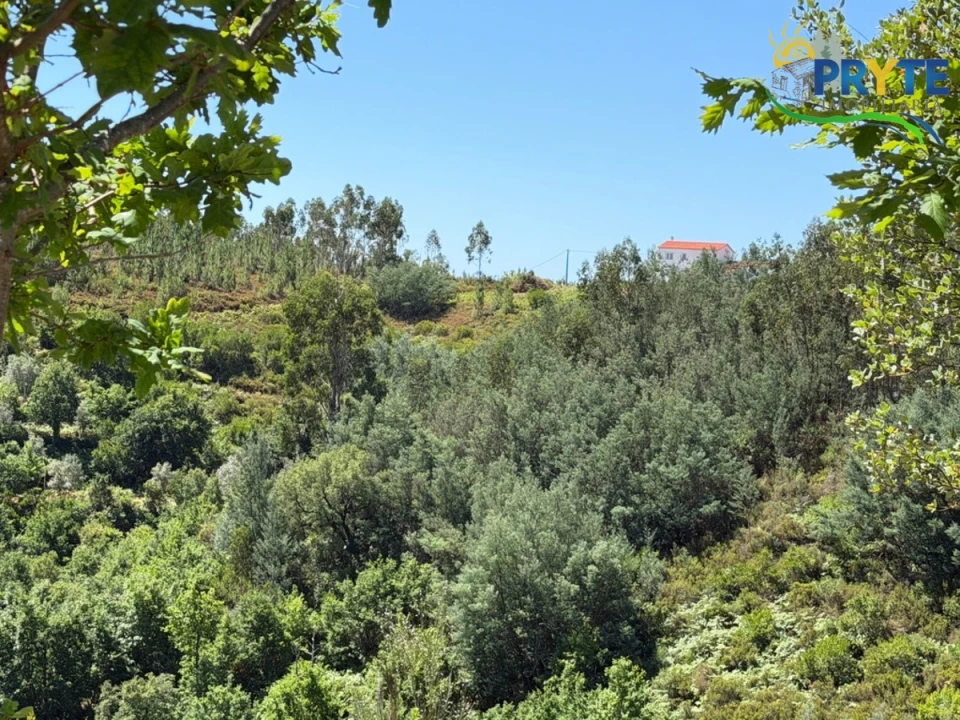 Quinta T3 para Venda em Vila Facaia Foto 79