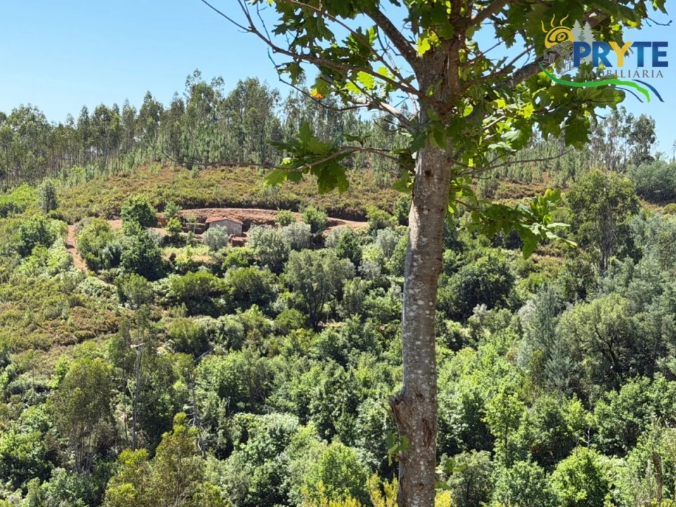 Quinta T3 para Venda em Vila Facaia Foto 80