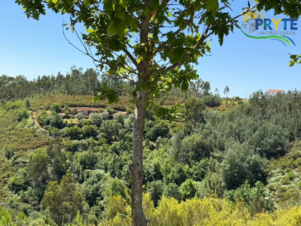 Quinta T3 para Venda em Vila Facaia Foto 81