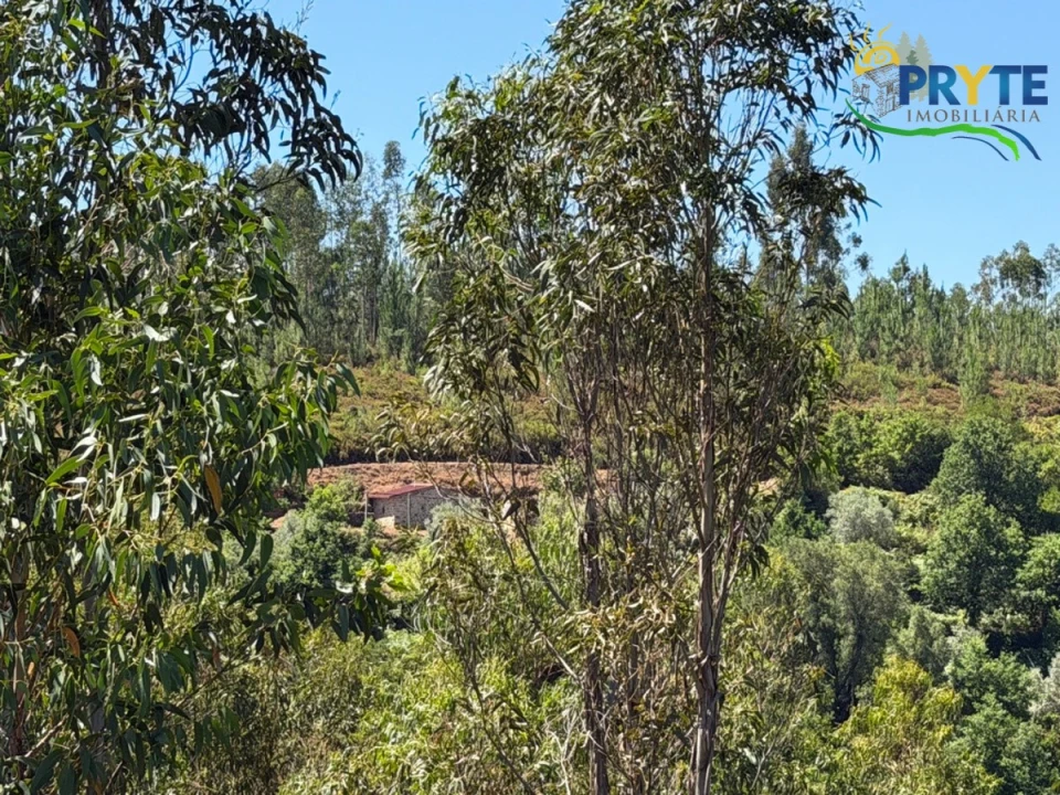 Quinta T3 para Venda em Vila Facaia Foto 85