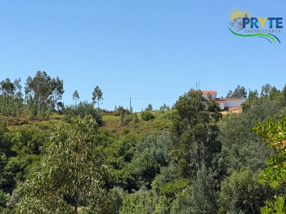 Quinta T3 para Venda em Vila Facaia Foto 86