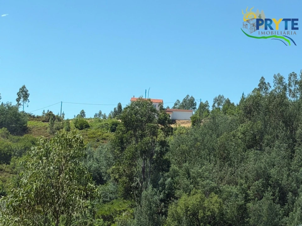 Quinta T3 para Venda em Vila Facaia Foto 87