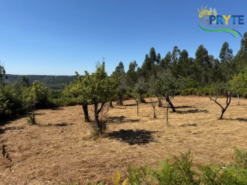 Quinta T3 para Venda em Vila Facaia