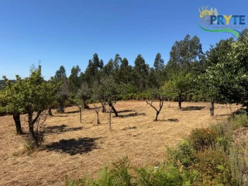 Quinta T3 para Venda em Vila Facaia