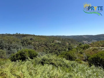 Quinta T3 para Venda em Vila Facaia