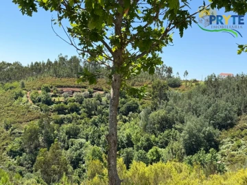 Quinta T3 para Venda em Vila Facaia