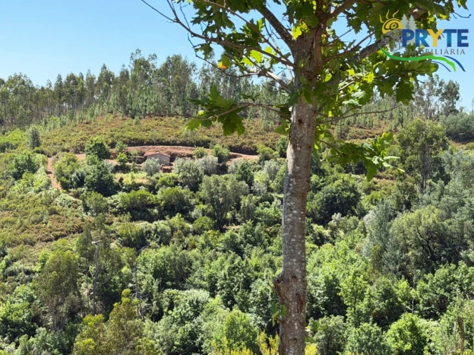 Quinta T3 para Venda em Vila Facaia Foto 80