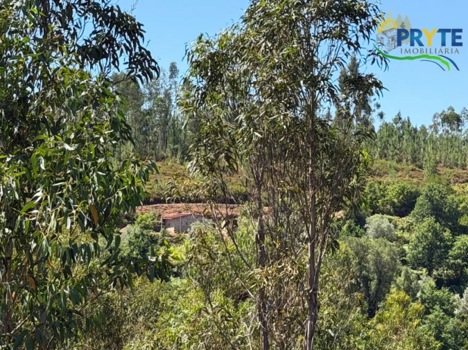 Quinta T3 para Venda em Vila Facaia Foto 85