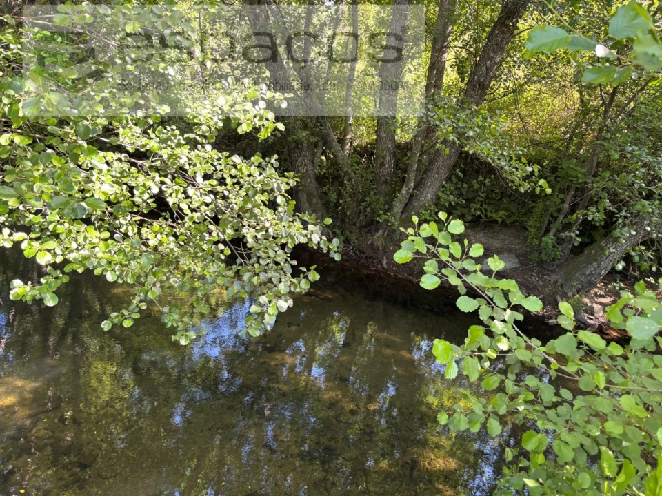 Quinta para Venda em Silvares Foto 21