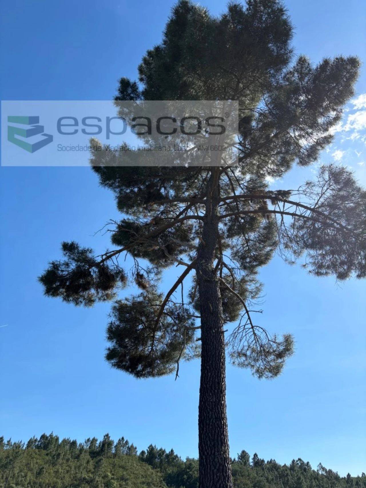 Quinta para Venda em Silvares Foto 36