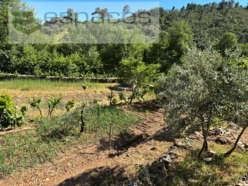 Quinta para Venda em Silvares