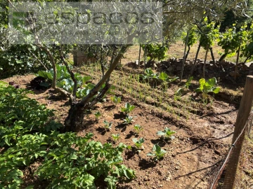 Quinta para Venda em Silvares