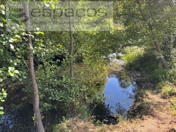 Quinta para Venda em Silvares