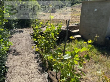 Quinta para Venda em Silvares