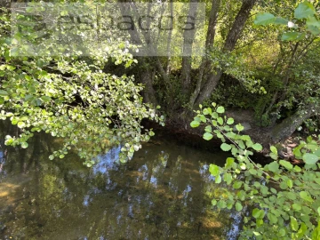 Quinta para Venda em Silvares