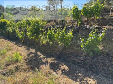 Quinta para Venda em Silvares