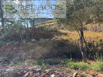 Quinta para Venda em Silvares