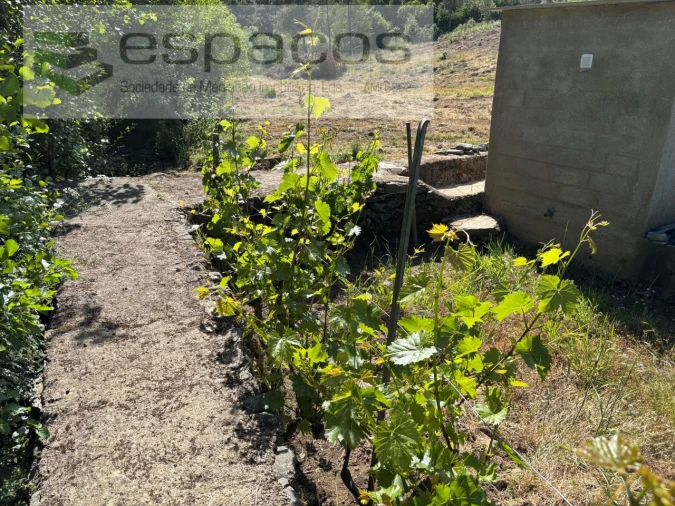 Quinta para Venda em Silvares Foto 20
