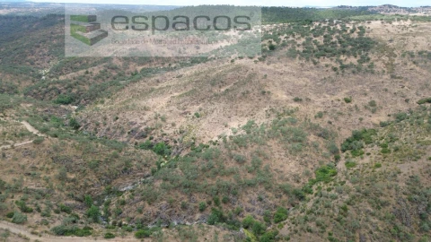 Quinta para Venda em Malpica do Tejo