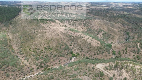 Quinta para Venda em Malpica do Tejo