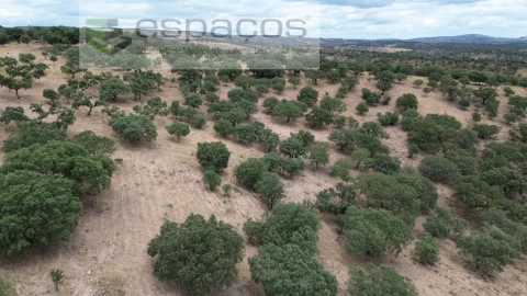 Quinta para Venda em Malpica do Tejo
