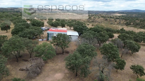 Quinta para Venda em Malpica do Tejo