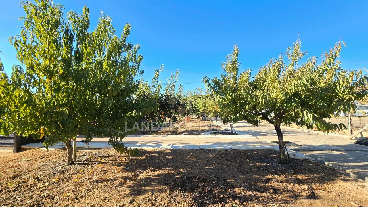 Moradia T4 para Venda em Luz de Tavira e Santo Estêvão Foto 13