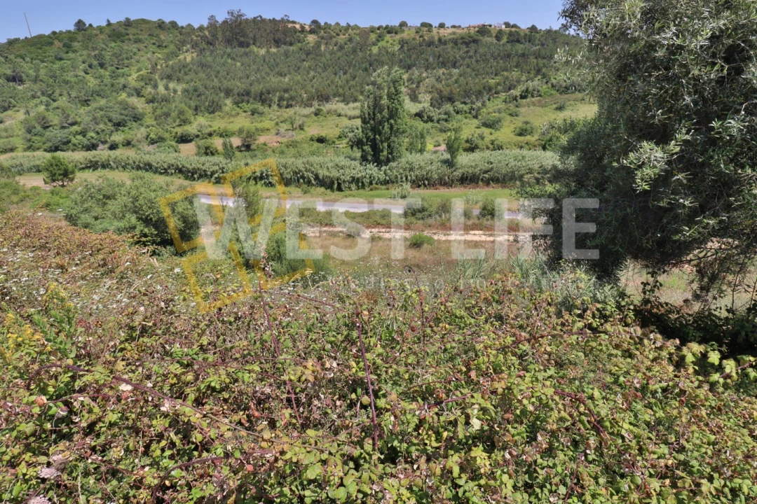 Terreno para Venda em Santo Isidoro Foto 10