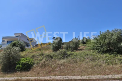 Terreno para Venda em Santo Isidoro