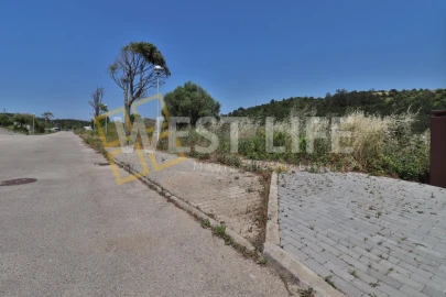 Terreno para Venda em Santo Isidoro