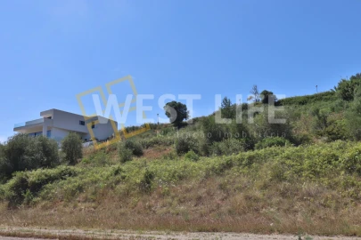 Terreno para Venda em Santo Isidoro