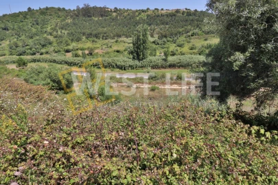 Terreno para Venda em Santo Isidoro